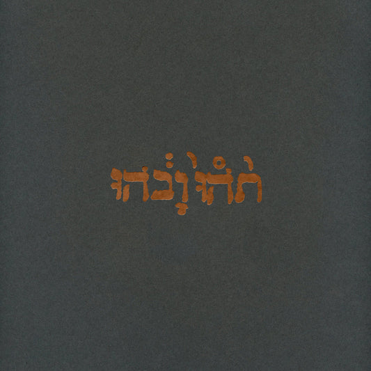 GODSPEED YOU! BLACK EMPEROR – Slow Riot For New Zero Kanada EP