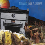 DEAD MEADOW. The Nothing They Need LP