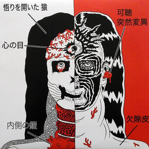 FARFLUNG/WHITE HILLS. Split LP